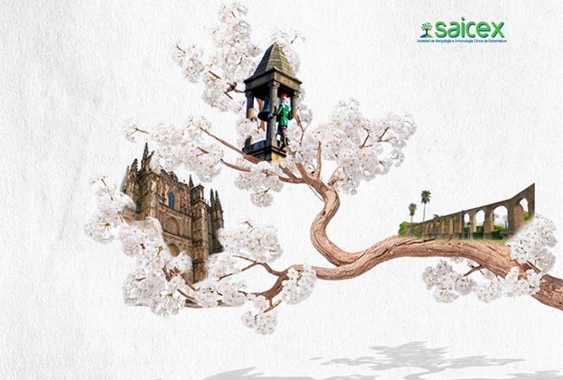 SAICEX-XXXIII-REUNION