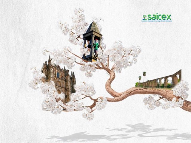 SAICEX-XXXIII-REUNION