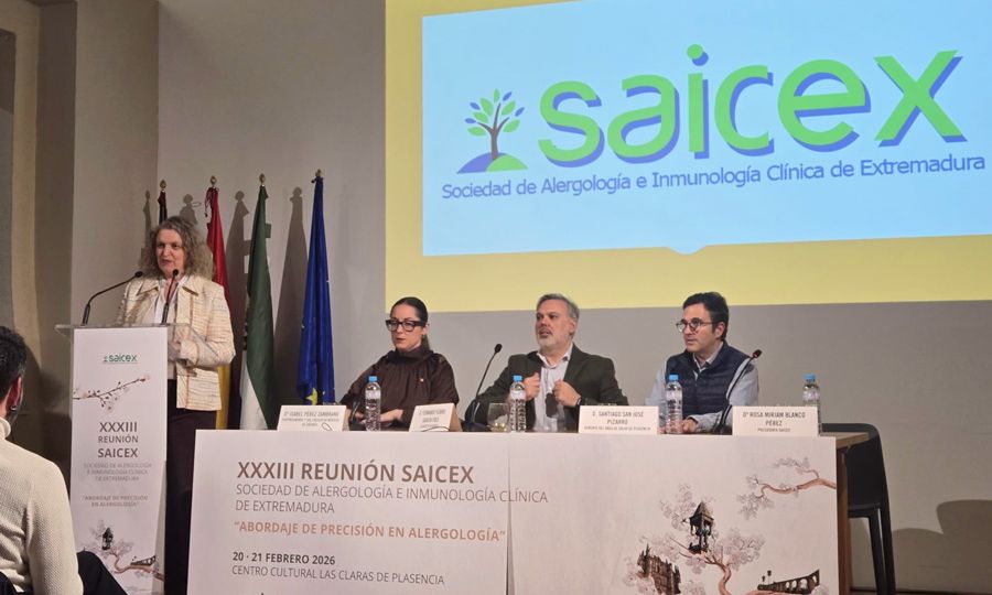 SAICEX-XXXIII-REUNION