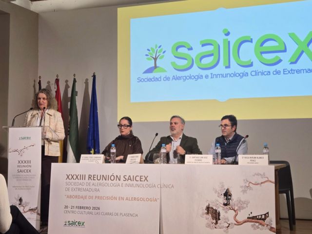 SAICEX-XXXIII-REUNION