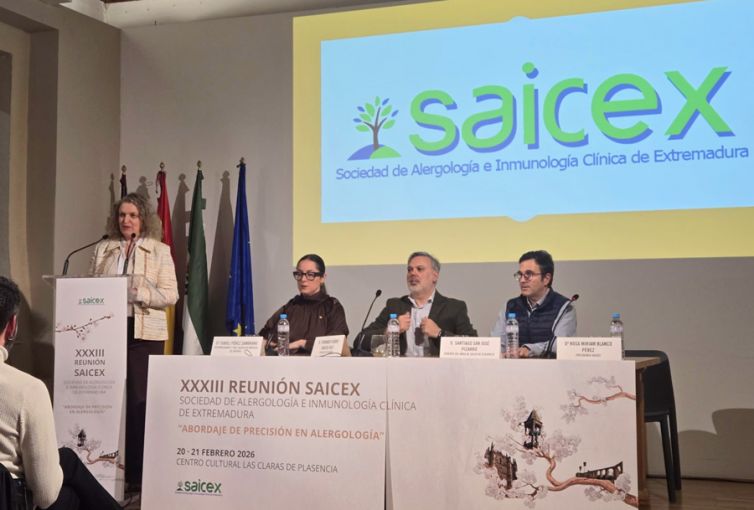 SAICEX-XXXIII-REUNION